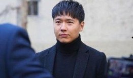 娱乐圈爆料高云翔,真相与争议交织